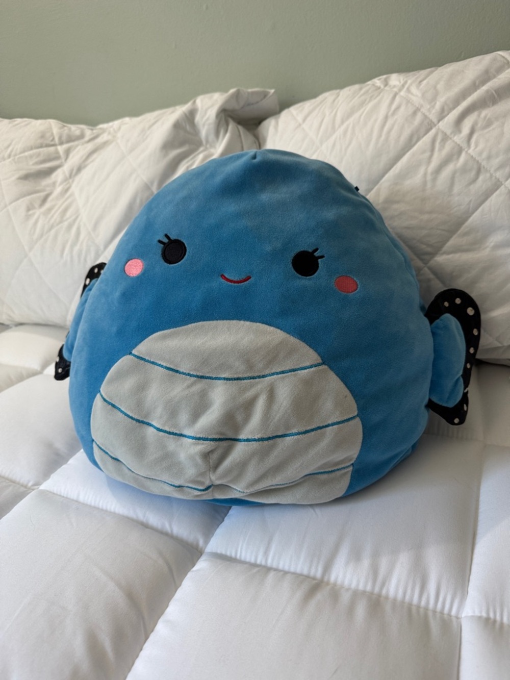 Squishmallows Blue Butterfly Gray Belly and Pink Cheeks